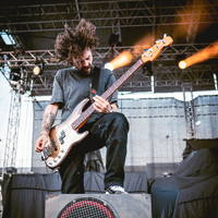 Tigress, credit: Filip Bušić