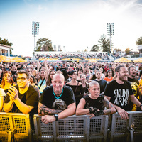 Tigress, credit: Filip Bušić