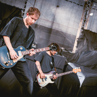 Tigress, credit: Filip Bušić