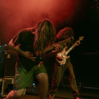 Vaktal, credit: Sara Katnić