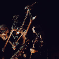 W.A.S.P., credit: Patricija Flikač