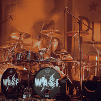 W.A.S.P., credit: Patricija Flikač