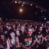 W.A.S.P., credit: Patricija Flikač