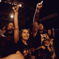 W.A.S.P., credit: Patricija Flikač