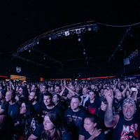 W.A.S.P., credit: Patricija Flikač