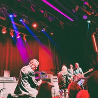 , credit: Predrag Kardum