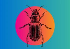 Lolacoaster predstavlja novi singl 