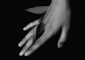 Cigarettes After Sex uskoro rasprodan!