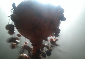 Cojones u Pločniku promoviraju novi spot