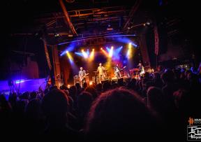 Kojoti - još uvijek dragocjeni, raskošni i blistavi