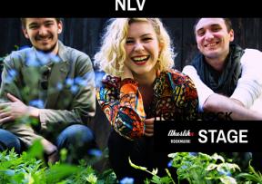 Akustika na Hoomstocku