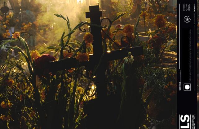 Putovanja u svijest s Foalsima