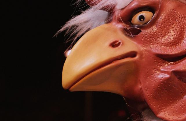 Novi zagrebački bend Como Bluff predstavlja prvi singl Cannibal Snake