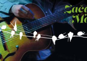 Začarana Močvara FB Live Sessions: Ana Avramov, Luka